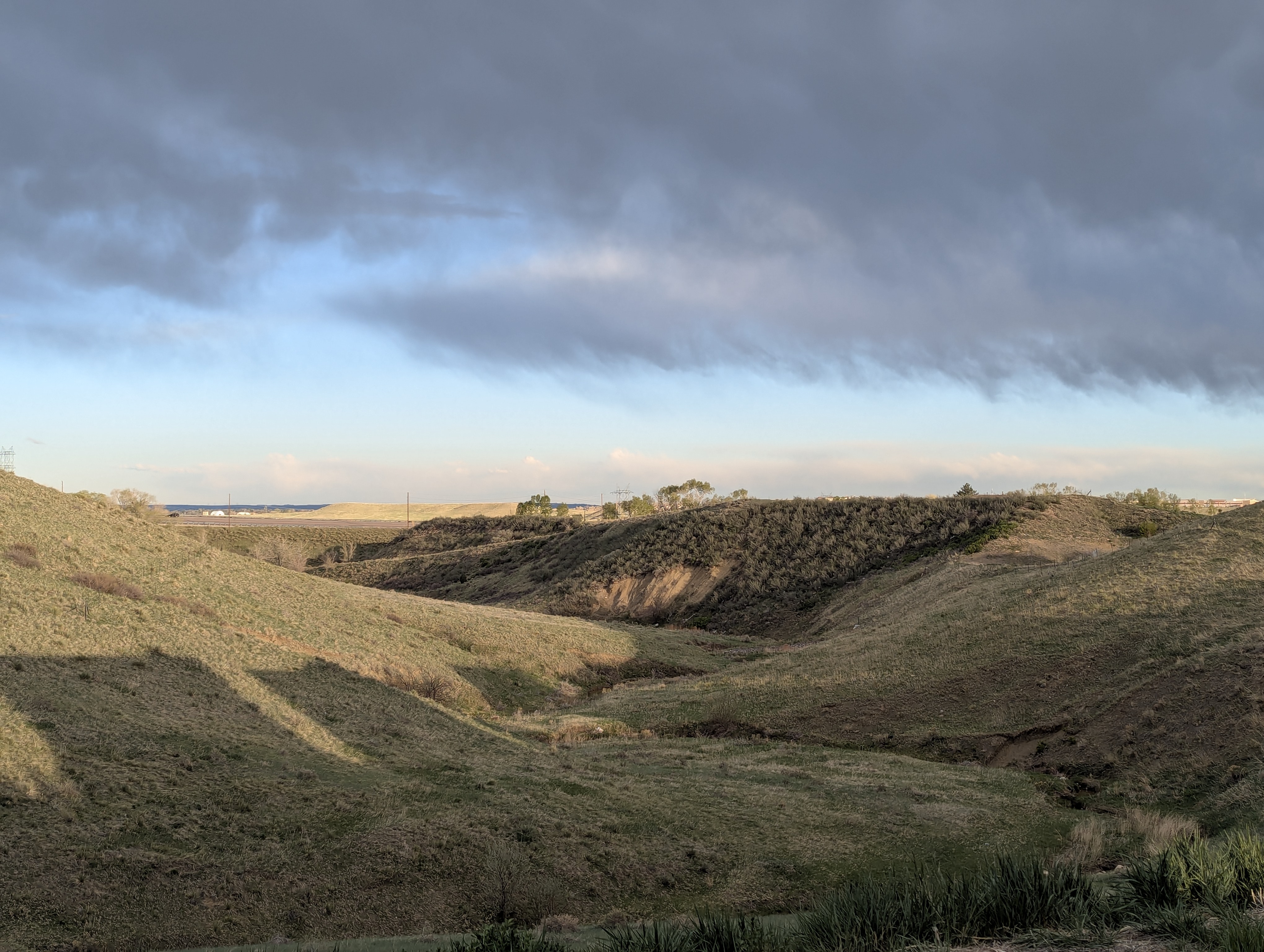 Garden, Flowers, Morrison, Colorado